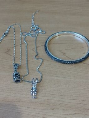 Posh Show Silver Tone Necklace and Bangle Set - Cat Pendant